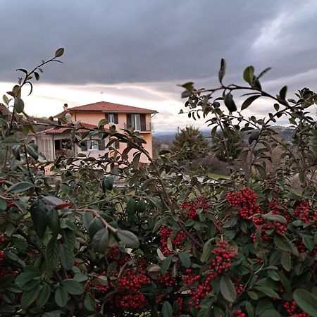 Villa La Casa Di Mezzo-Affitti Brevi-Zona Ospedali Busso Exterior foto