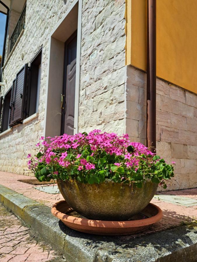 Villa La Casa Di Mezzo-Affitti Brevi-Zona Ospedali Busso Exterior foto